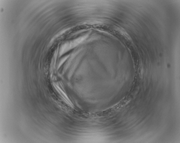 X0000061750920200512302233