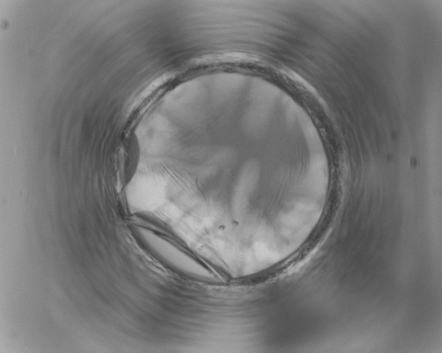 X0000061750921200512302234