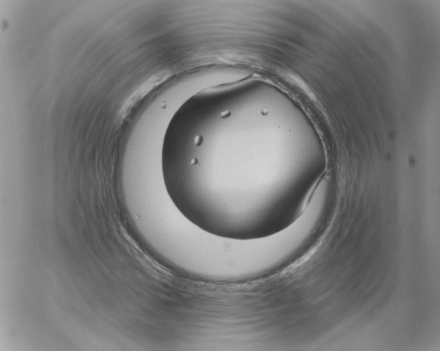 X0000061750922200512302234