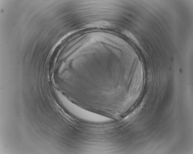 X0000061750923200512302234