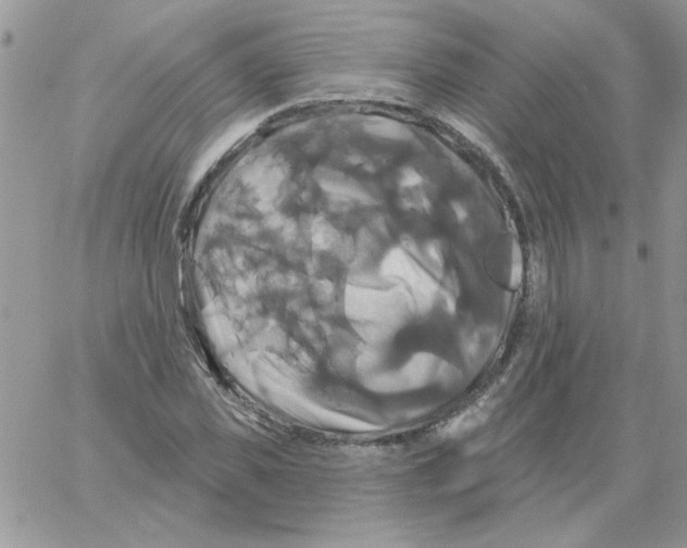 X0000061750925200512302234