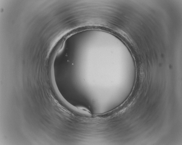 X0000061750926200512302234