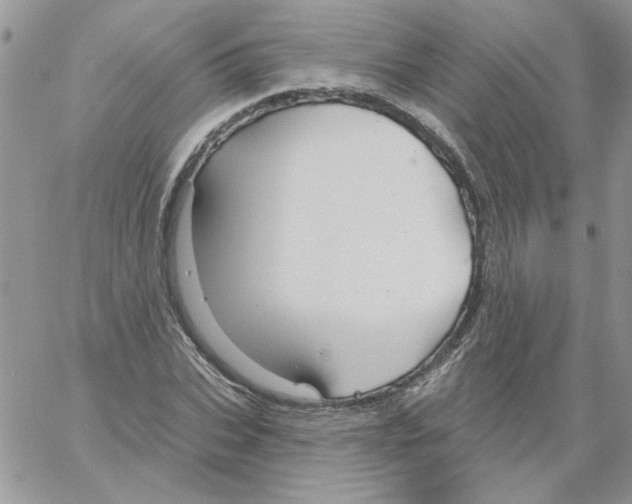 X0000061750927200512302234