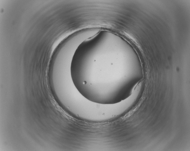 X0000061750928200512302234