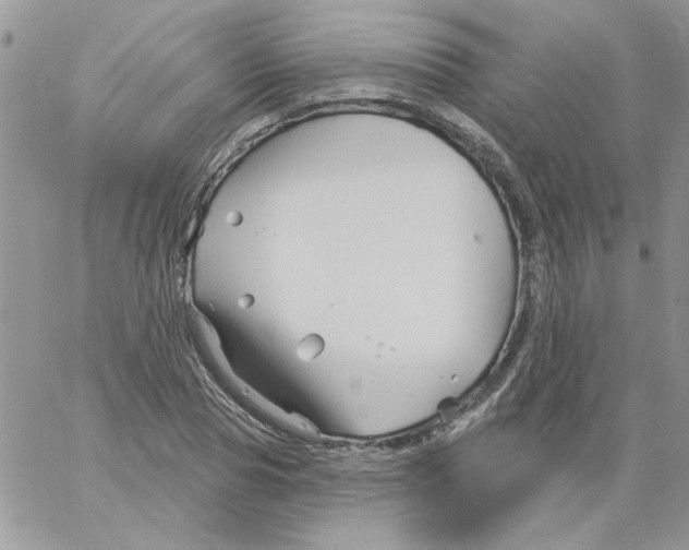 X0000061750929200512302234