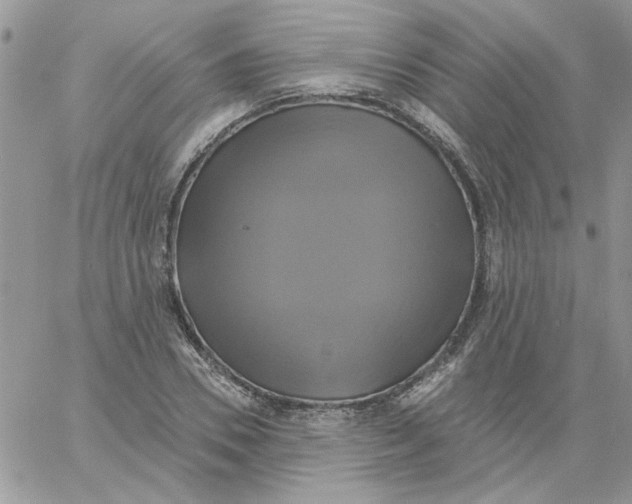 X0000061750930200512302234