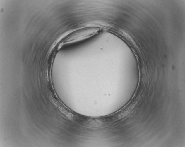 X0000061750931200512302234