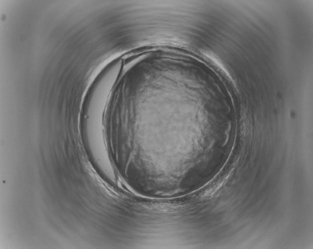 X0000061750932200512302234