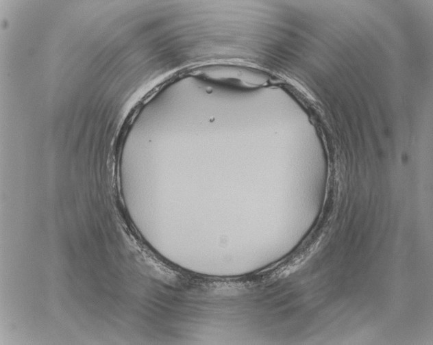 X0000061750933200512302234