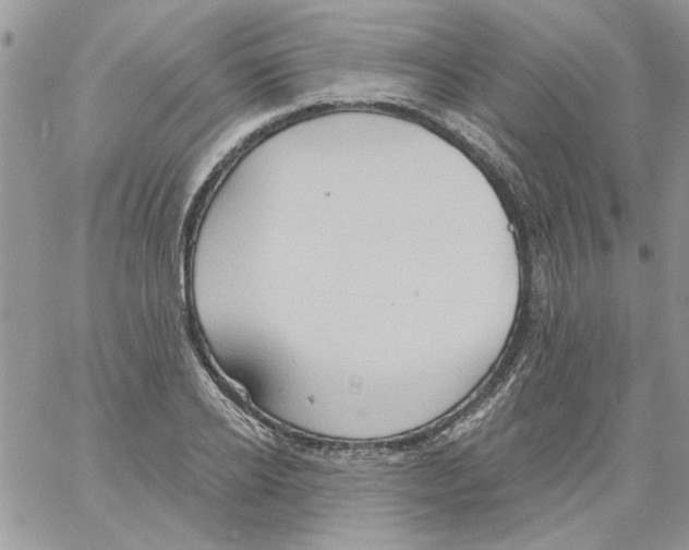 X0000061750934200512302234