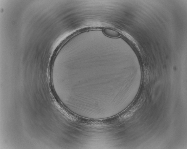 X0000061750935200512302234