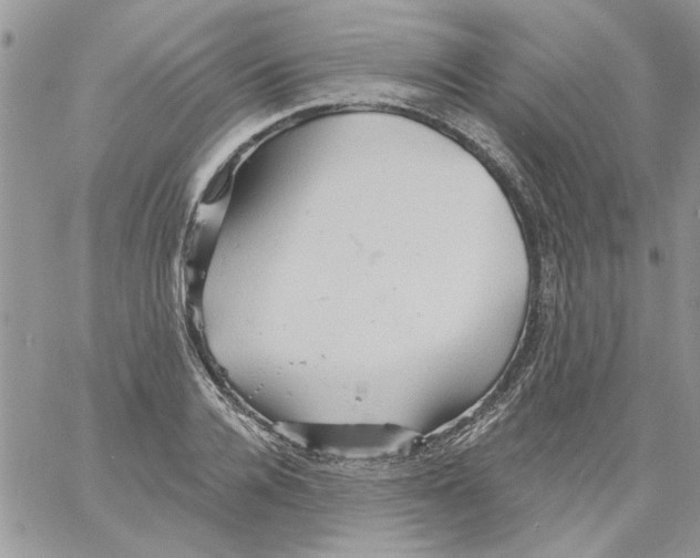 X0000061750936200512302234