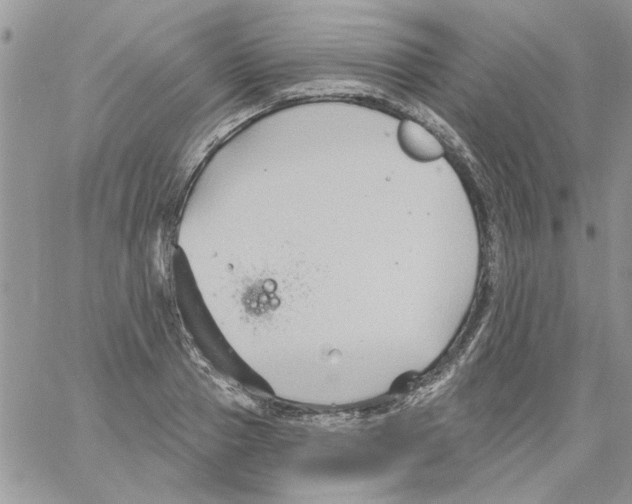 X0000061750937200512302234