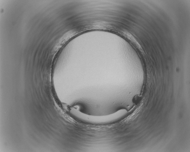 X0000061750938200512302234