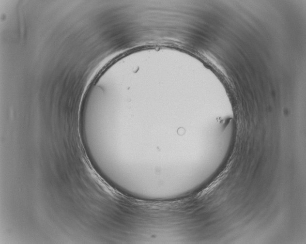 X0000061750940200512302234