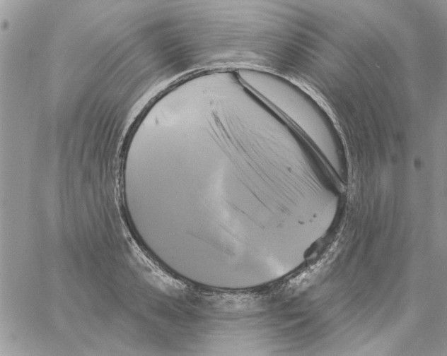 X0000061750941200512302234