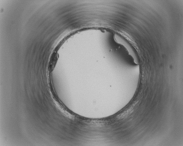 X0000061750942200512302234