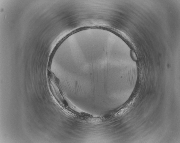 X0000061750943200512302234