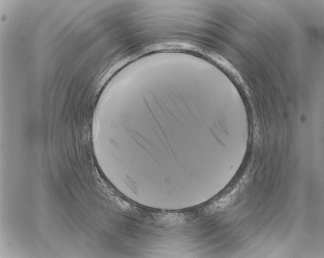 X0000061750945200512302234