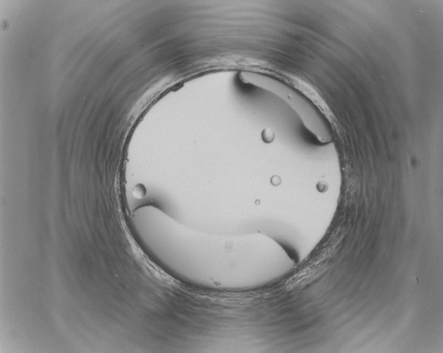 X0000061750946200512302234