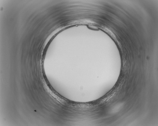 X0000061750947200512302234