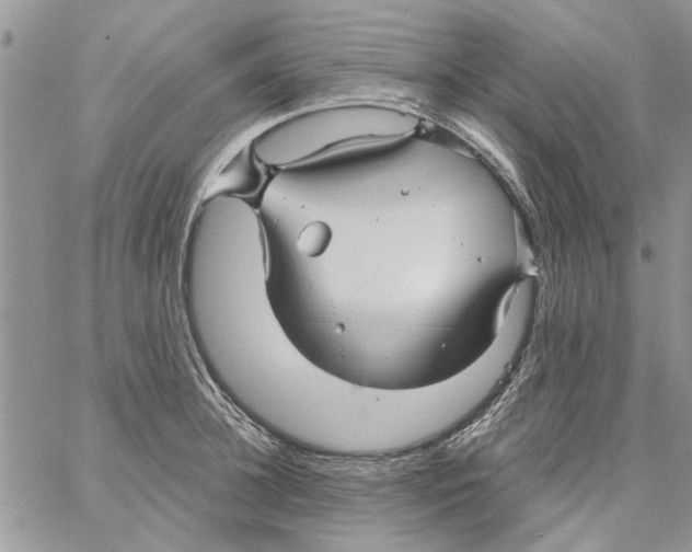 X0000061750948200512302234