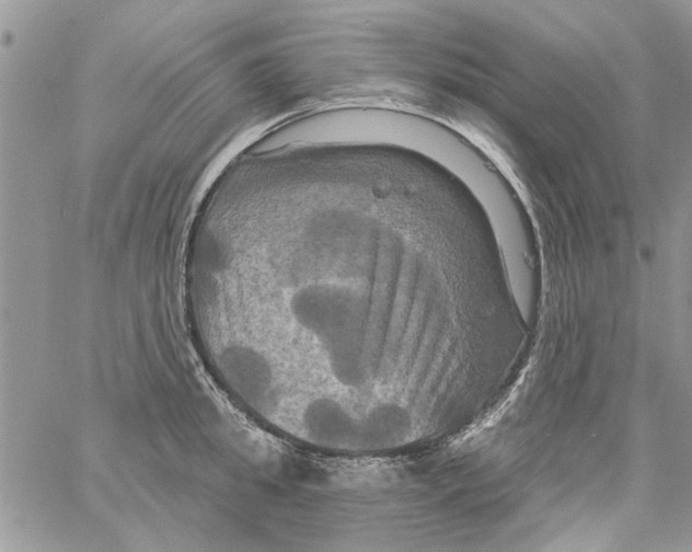 X0000061750949200512302234