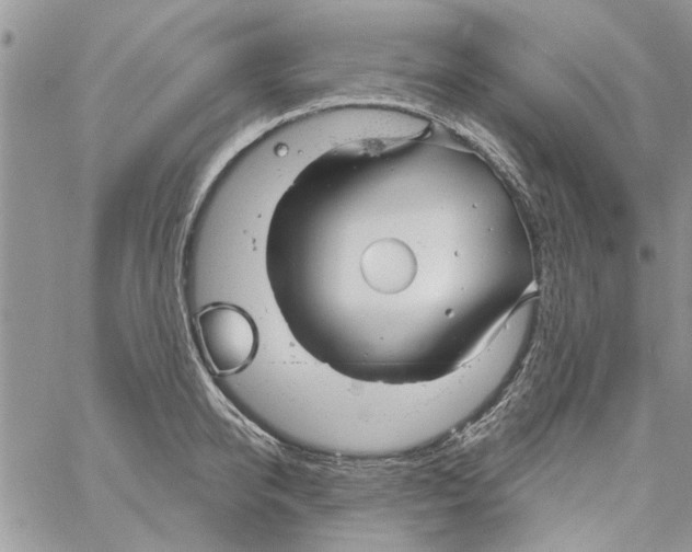 X0000061750950200512302234