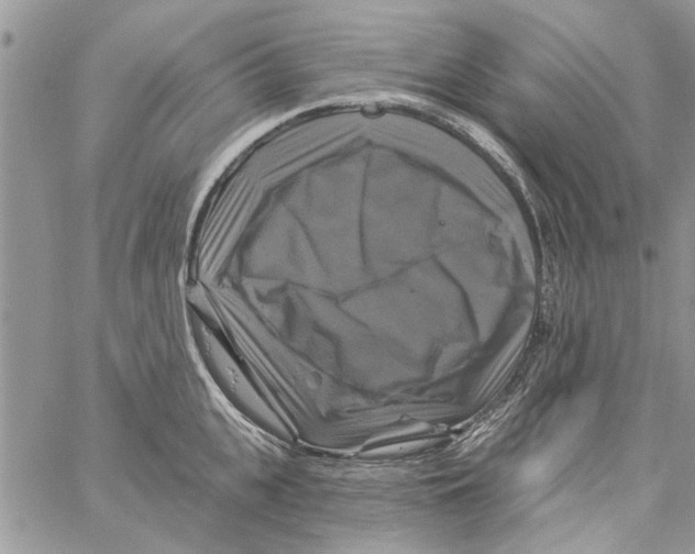 X0000061750951200512302234