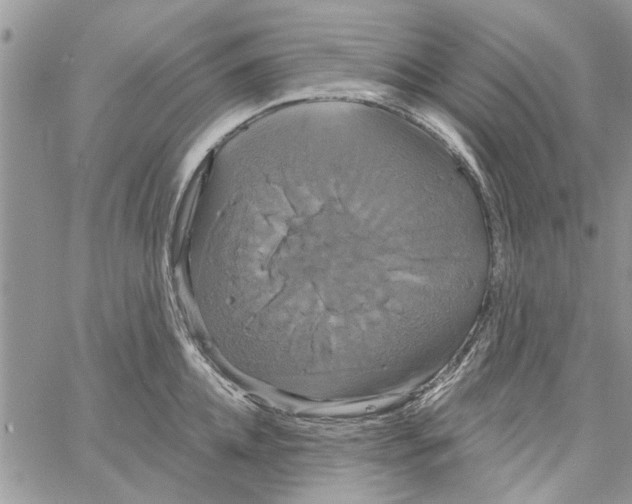 X0000061750952200512302234