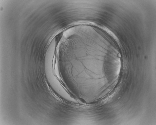 X0000061750953200512302234