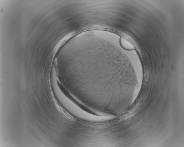 X0000061750954200512302234