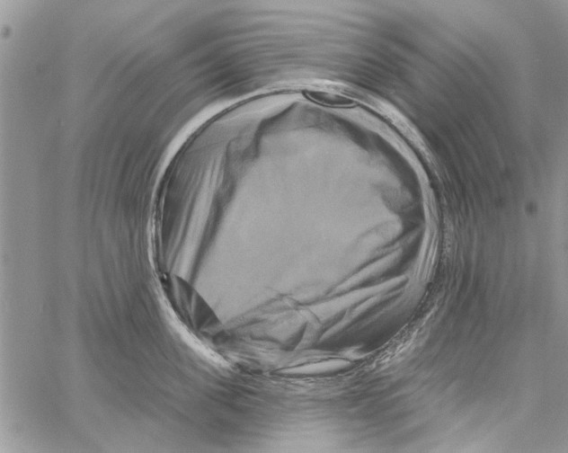 X0000061750955200512302234