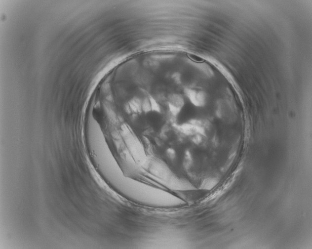 X0000061750957200512302234