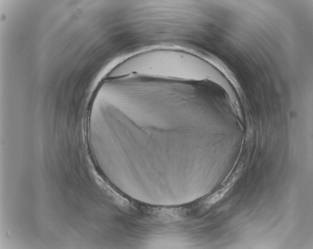 X0000061750958200512302234