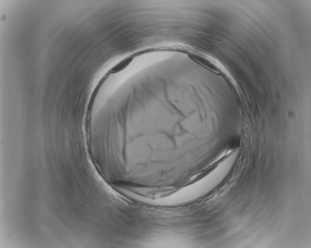 X0000061750959200512302234