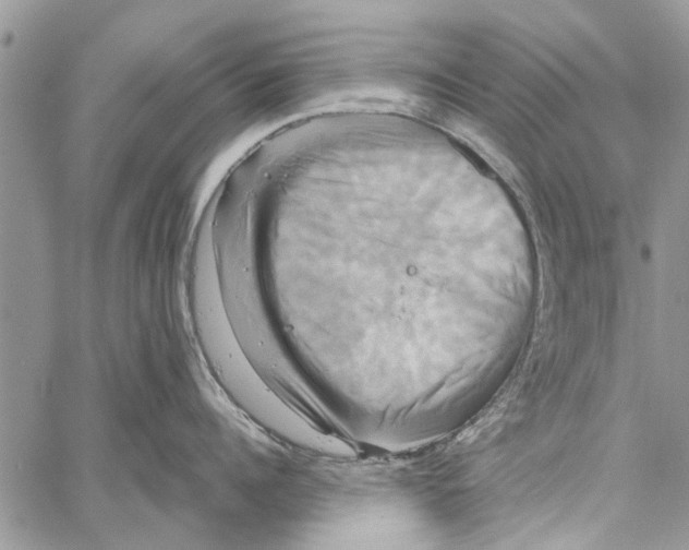 X0000061750960200512302234