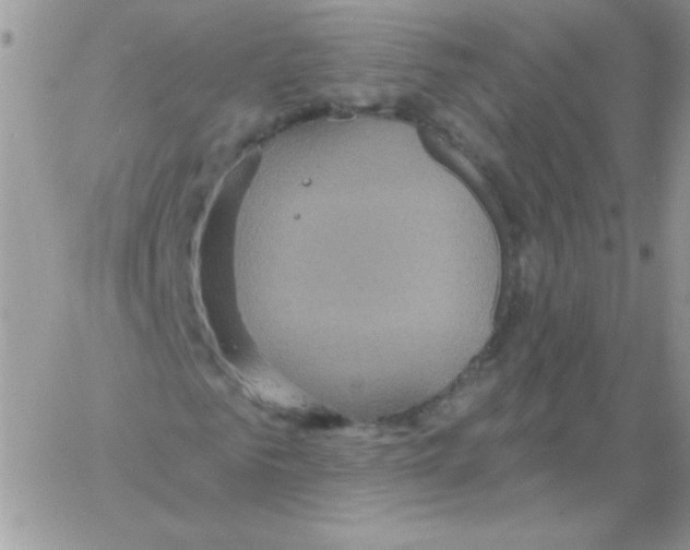 X0000061750961200512302233