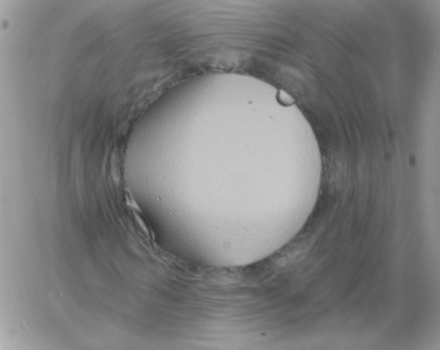 X0000061750962200512302233