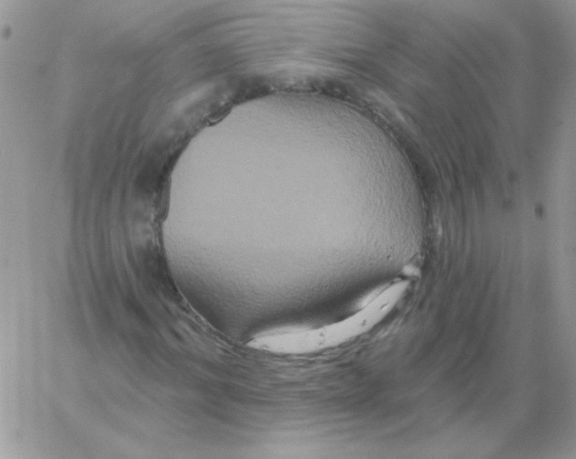 X0000061750964200512302233