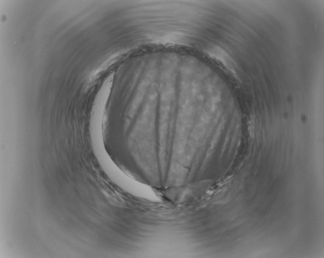 X0000061750968200512302233