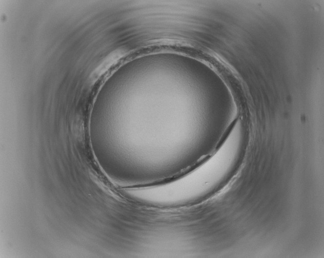 X0000061750969200512302233