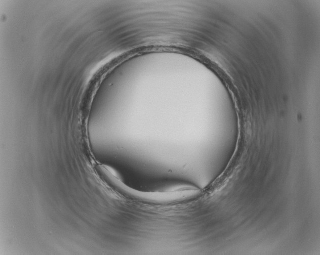 X0000061750971200512302233