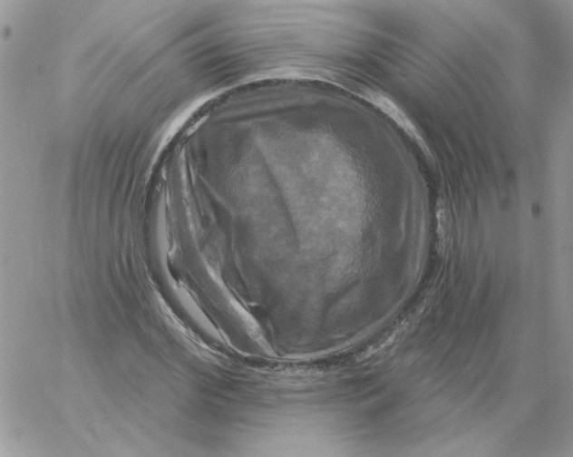 X0000061750972200512302233