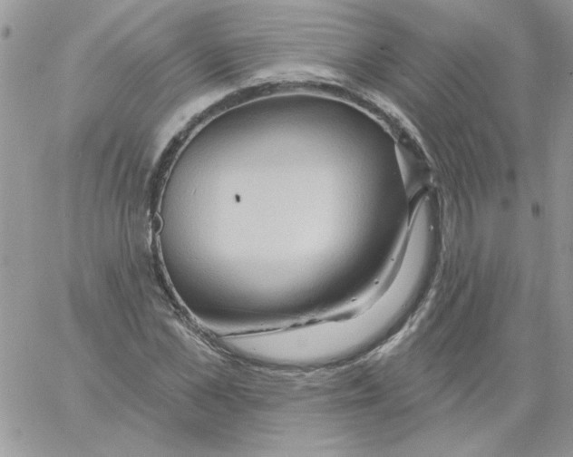 X0000061750973200512302233