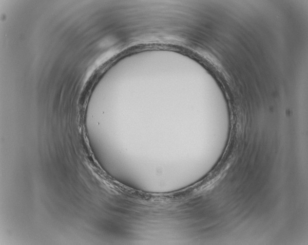 X0000061750974200512302233