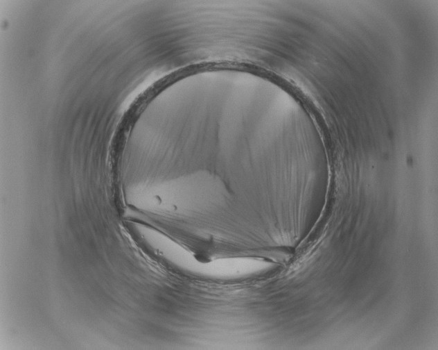 X0000061750975200512302233