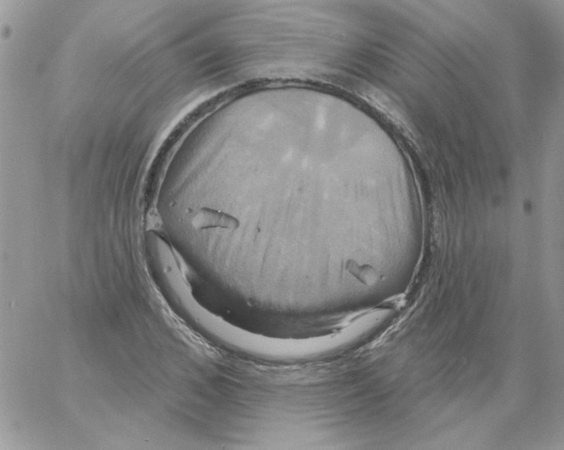 X0000061750976200512302233