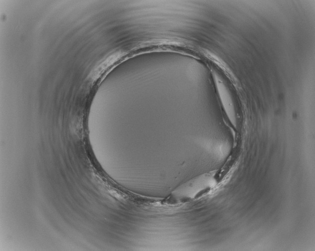 X0000061750977200512302233