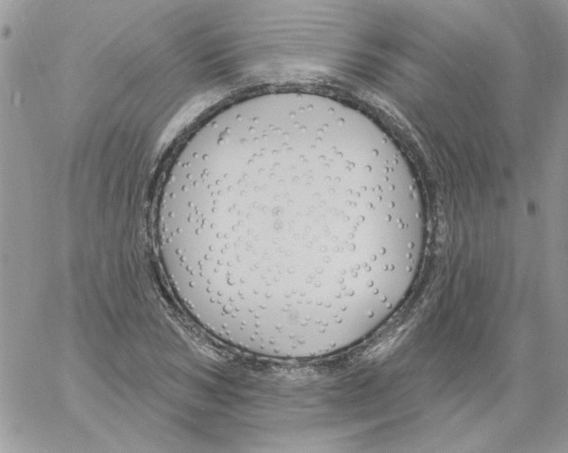 X0000061750978200512302233